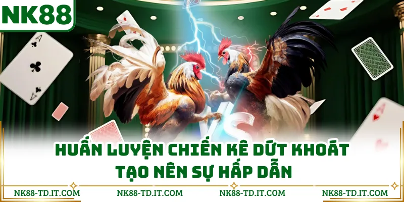 Huấn Luyện Chiến Kê Dứt Khoát Tạo Nên Sự Hấp Dẫn