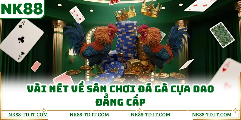 Vài Nét Về Sân Chơi Đá Gà Cựa Dao Đẳng Cấp